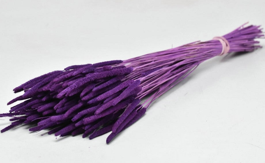 Dried Phleum Probatus Purple 150 grams