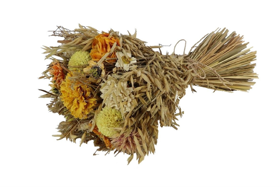 Dry flowers Bouquet Sheaf Sunny Zinnia