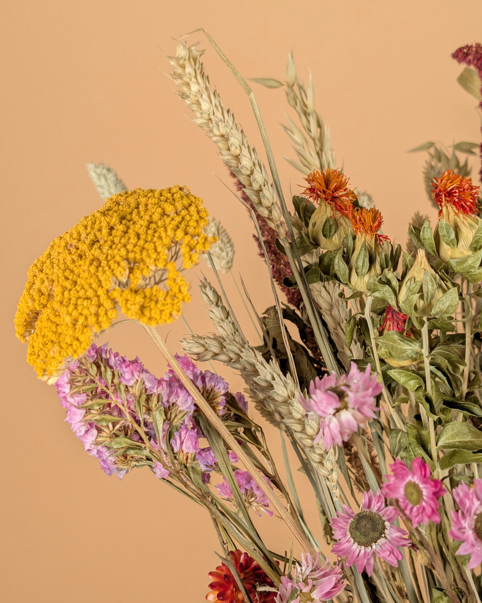 Dry bouquet Large Multicolor