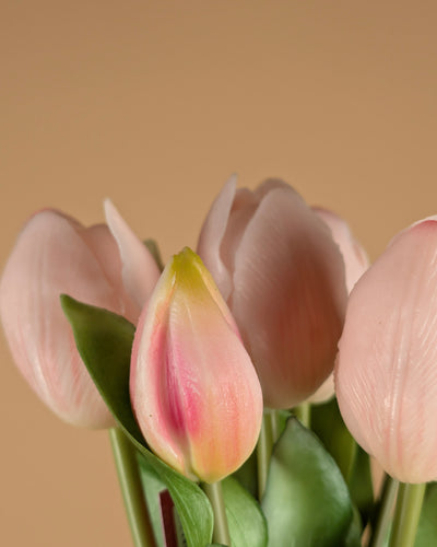 Lathyrus en soie – Crème (75 cm)