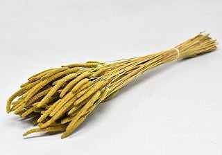 Dried Phleum Protensis Yellow 150 grams