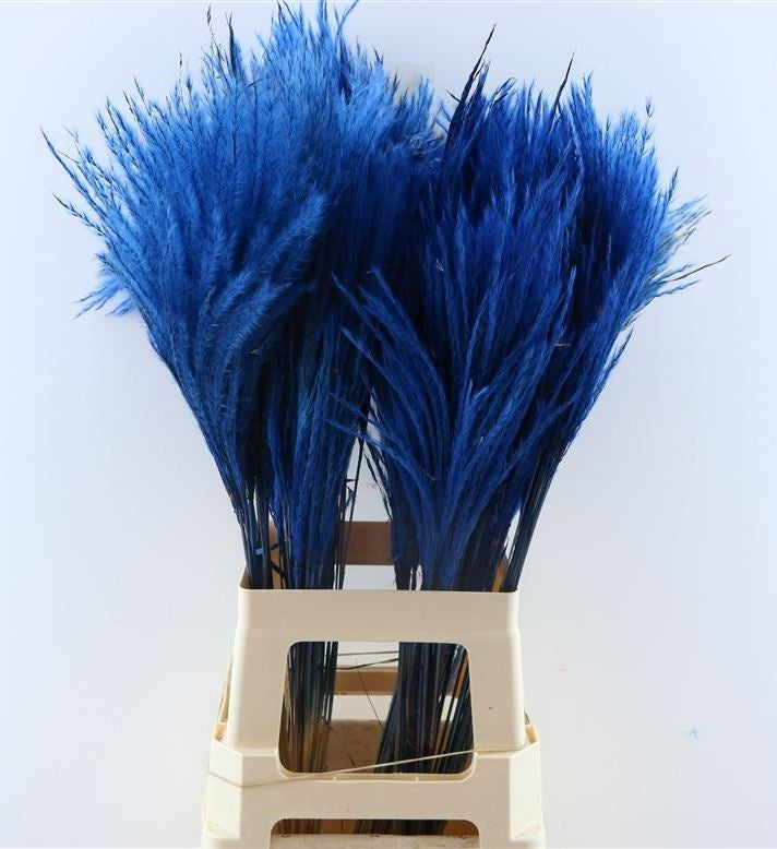 Fluffy Reed Gras Pluimen Dark Blue