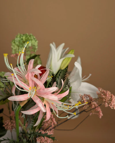 Trockenstrauß wirklich geliebt