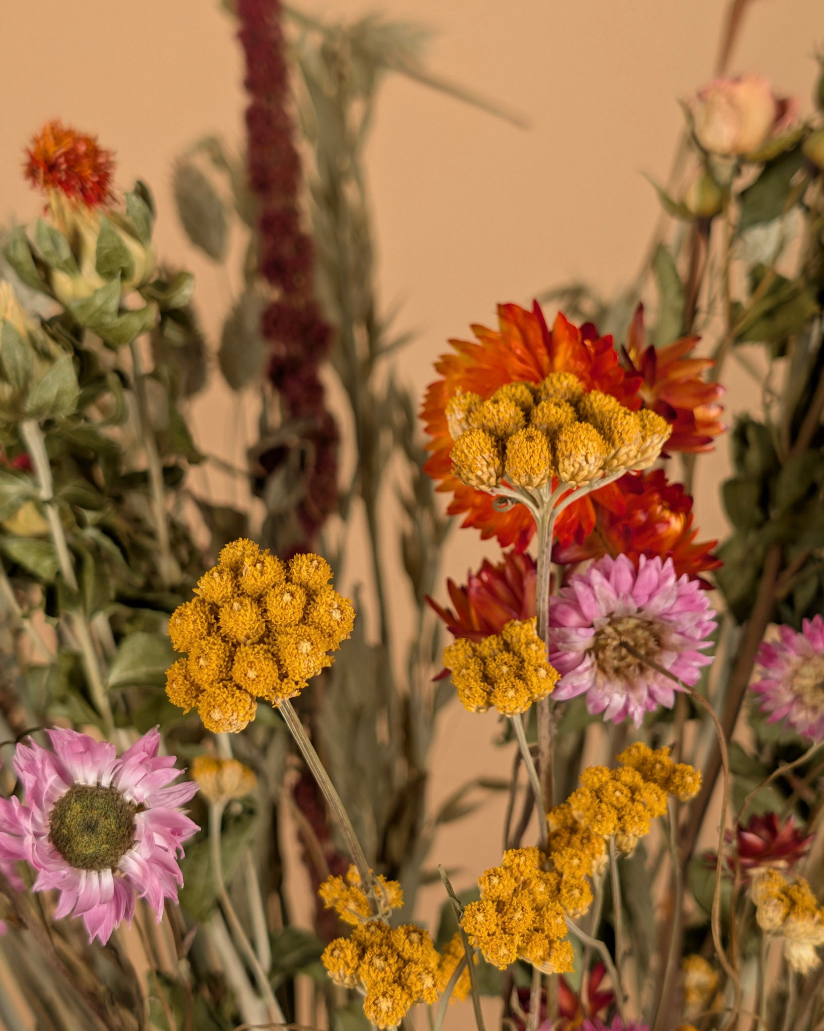 Dry bouquet Large Multicolor