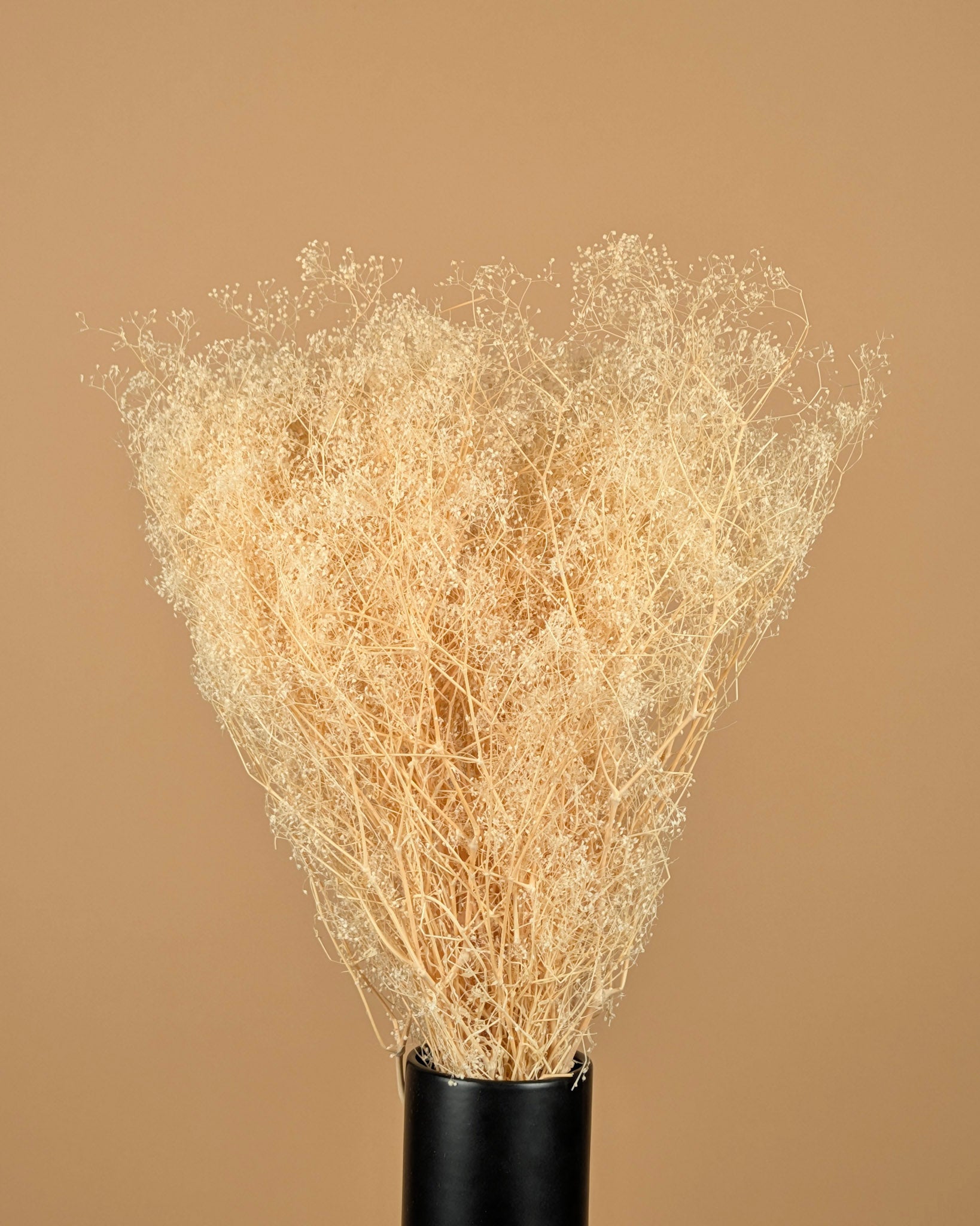 Mini gypsophila bleached dried (gypsum)