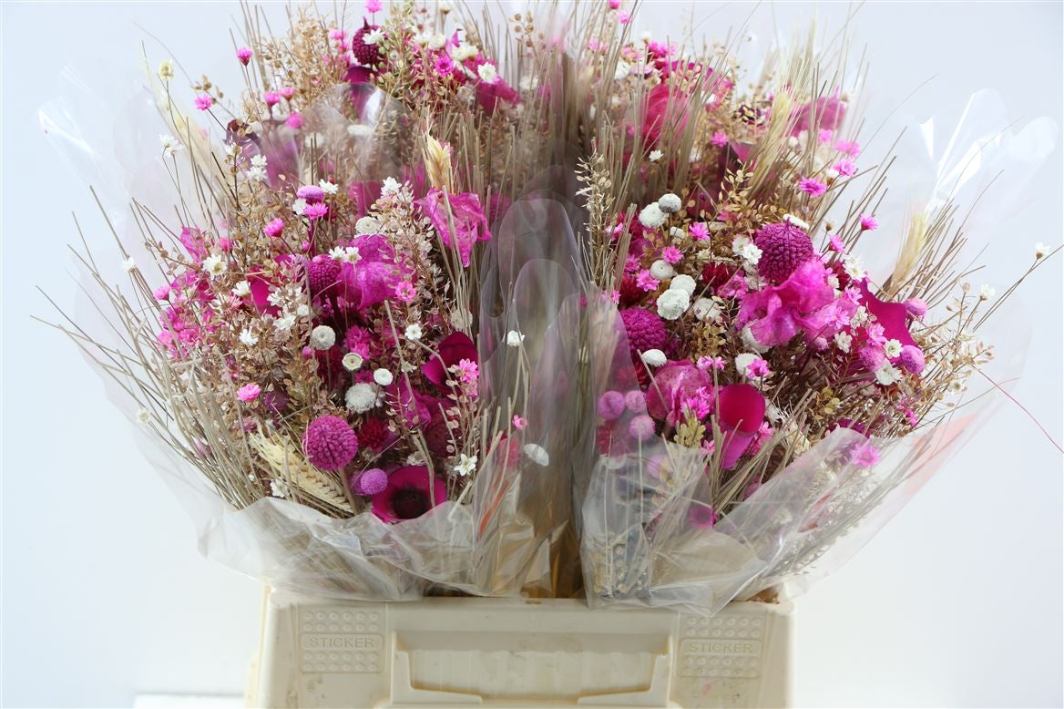 Dried bouquet Fantasia Cerise