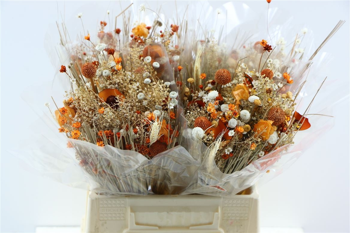 Dried bouquet Fanasia Oranje