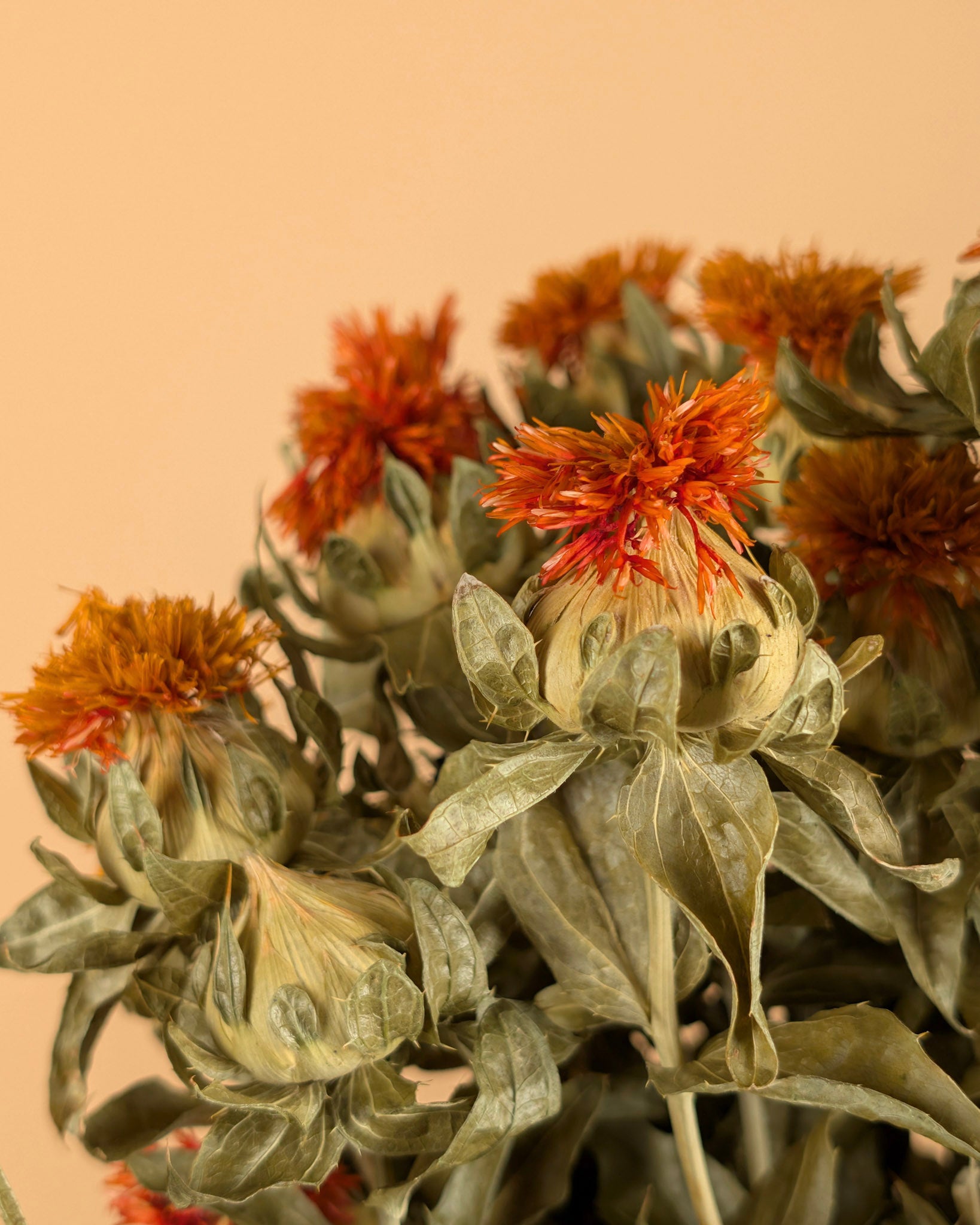 Séré Carthamus Orange