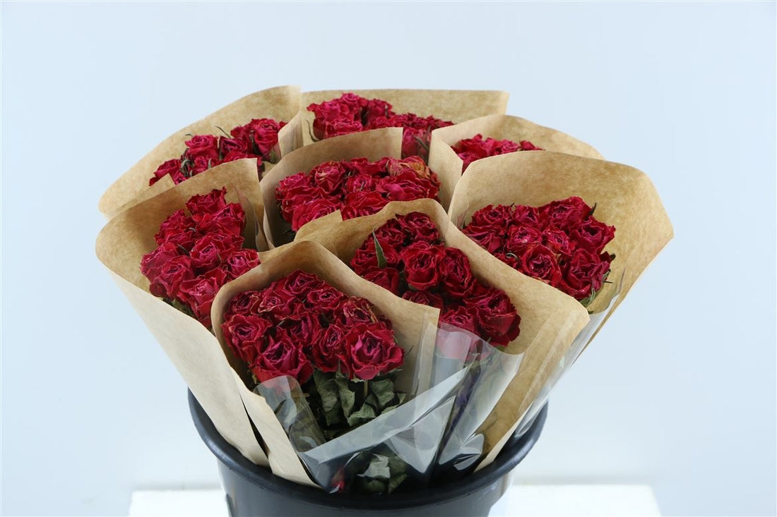 Dried short red roses per forest of 10 roses