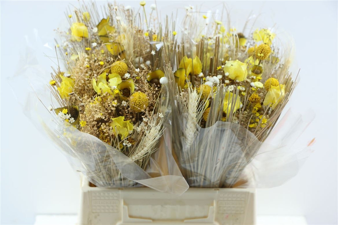 Dried bouquet fanasia yellow