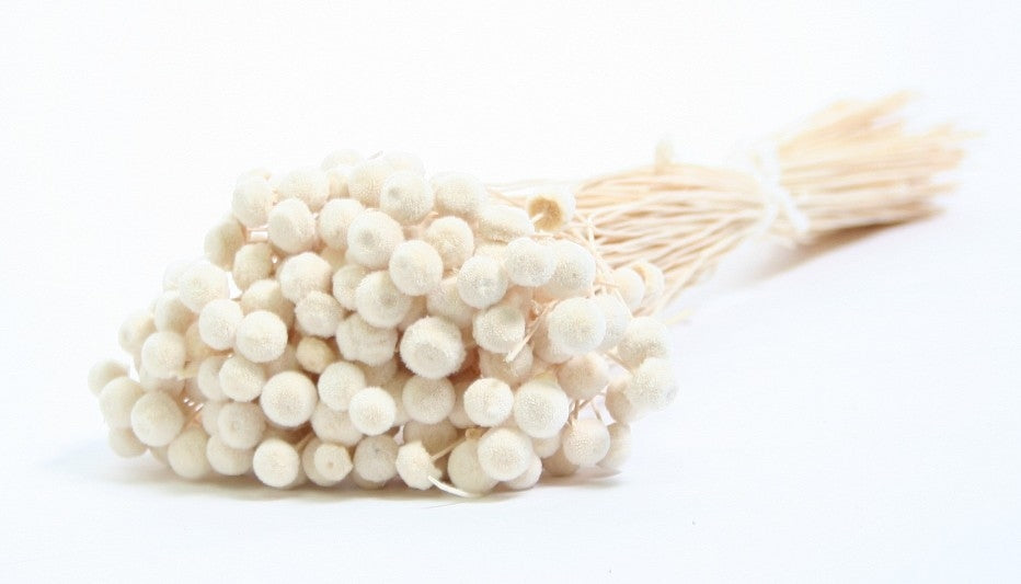 Botton Botao a blanchi 50 grammes