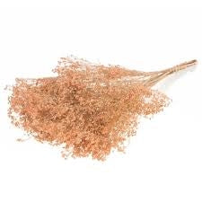 Getrockneter Besen Bloom Coral Misty