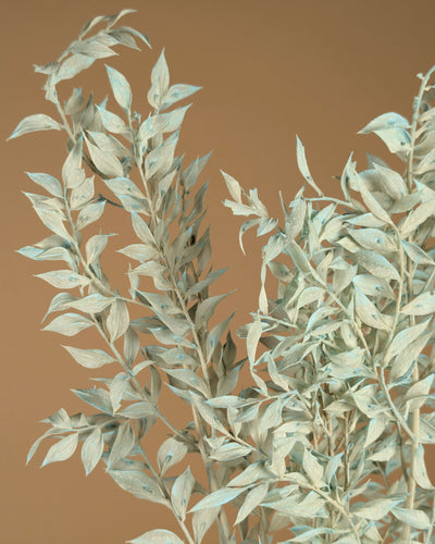 Russcus lackiert hellblau