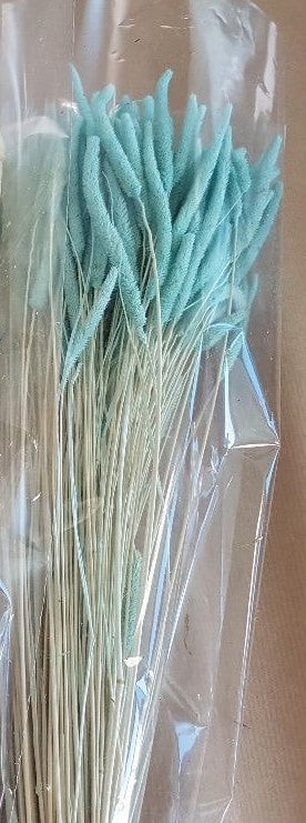 Dried Phleum Presensis Light Blue 150 grams