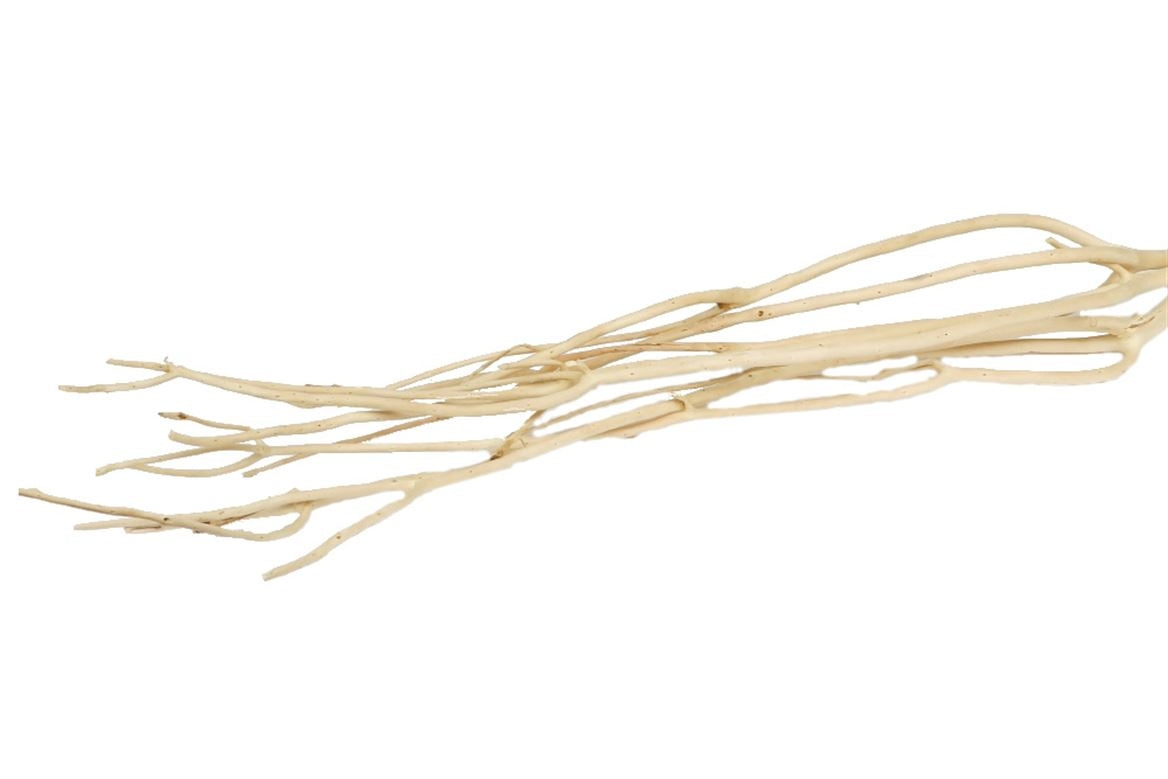 Les branches de Mitsumata blanchis par 3 branches