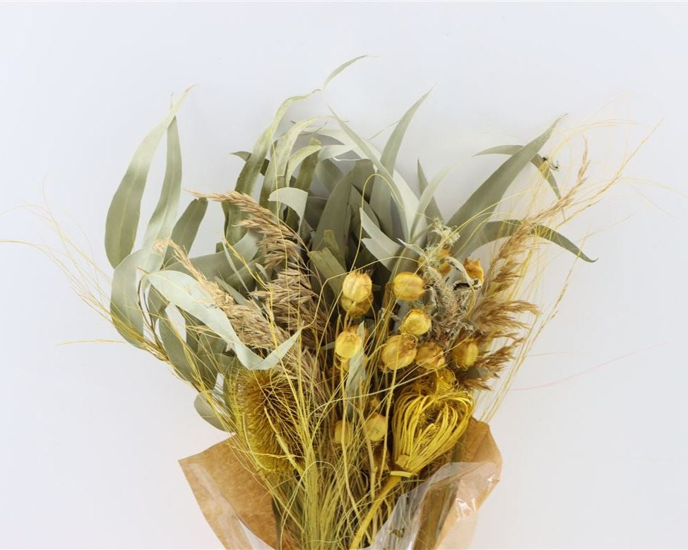 Dried bouquet Saint Marcout