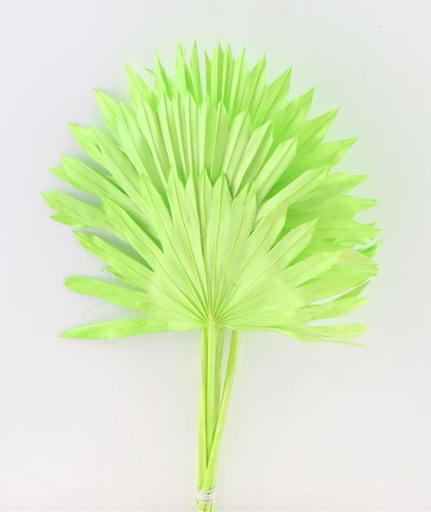 Sun Spear Green