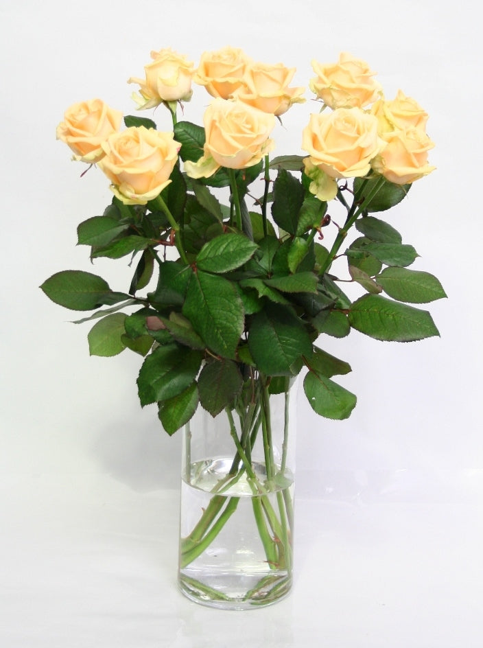 Peach Rozen Booket de Lange Clood Yourself Roses