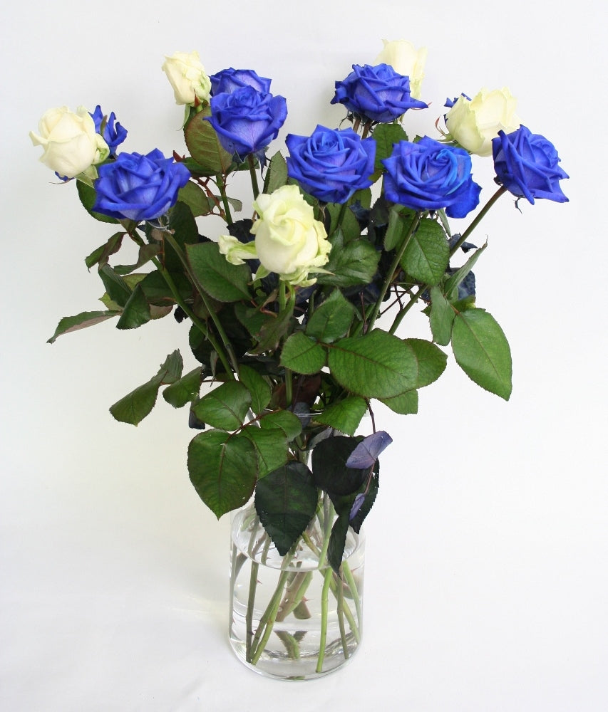 Rosenstrauß von blauen Rosen mit weißen Rosen