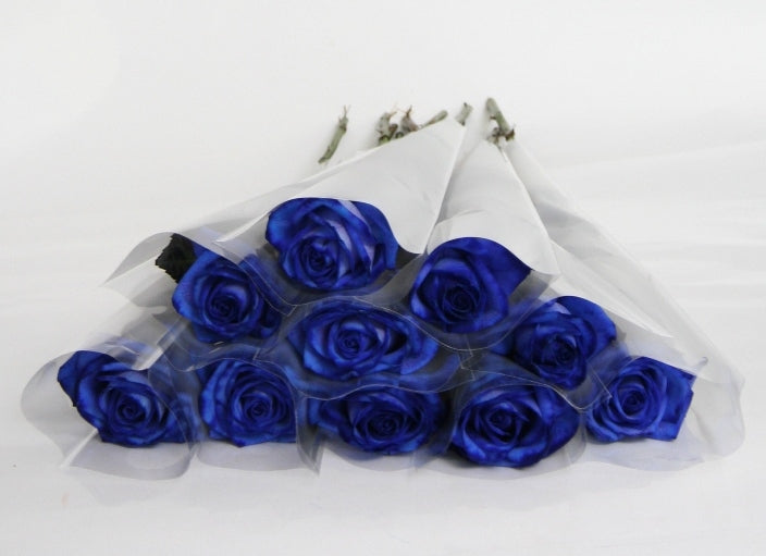 Des roses bleues de 70 cm prises dans un étui blanc givré