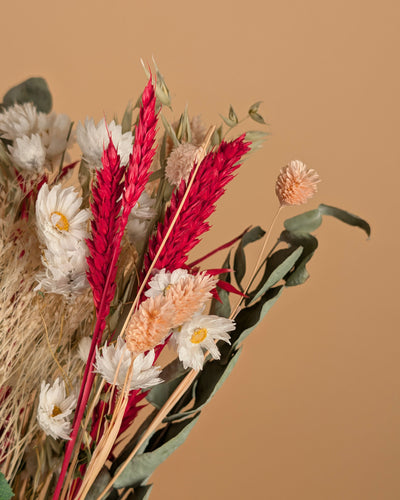 Trockenstrauß wirklich geliebt