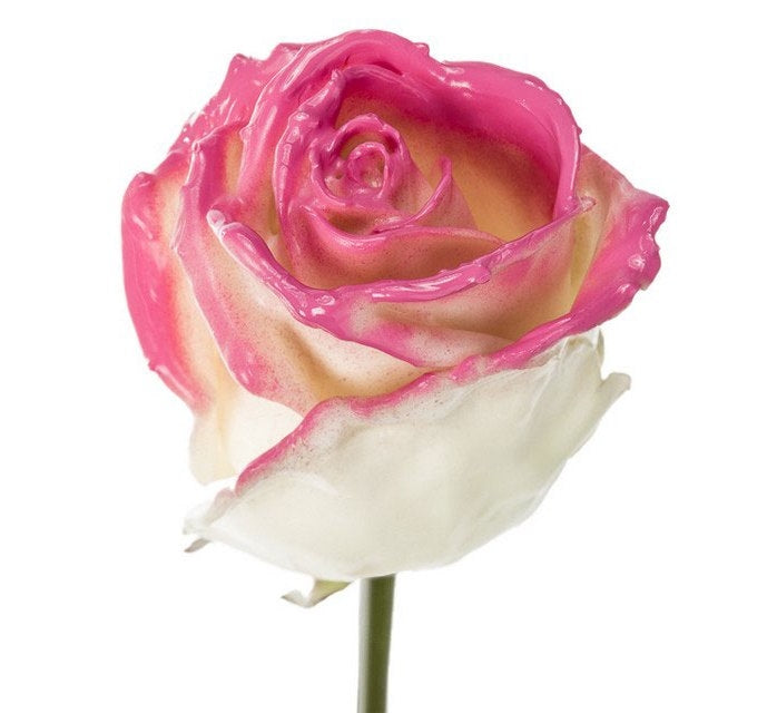 Bouquet de roses de cire blanc avec un fard à joues rose