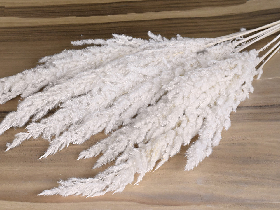 ERIANHUS BLEAXED 10PCS 110cm