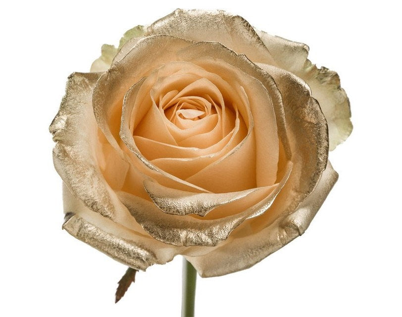 Bouquet de roses de pêche Lange avec des blos dorés