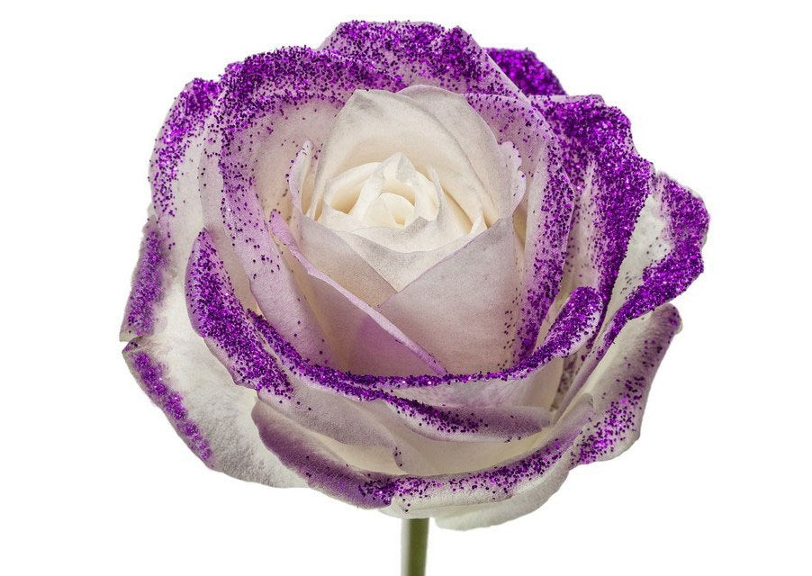 Bouquet de longues roses blanches avec des paillettes violettes