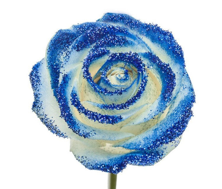 Blumenstrauß langer weißer Rosen mit blauem Glitzer