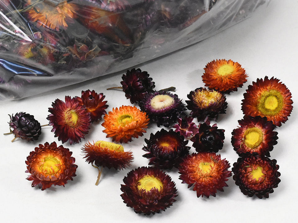 Helichrysum heads red 250gr.