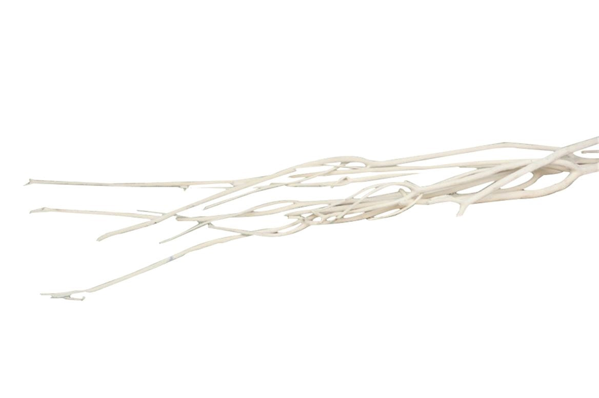Mitsumata Flock blanc par 3 branches