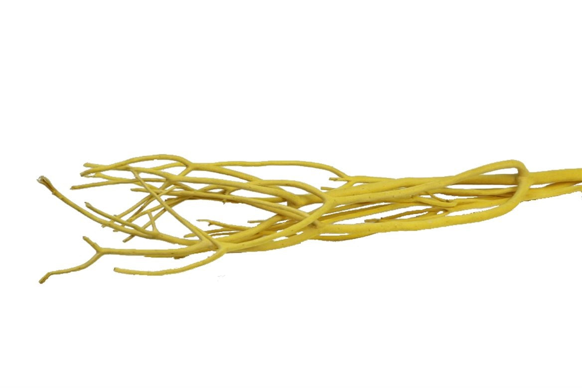 Mitsumata Flock Yellow par 3 branches