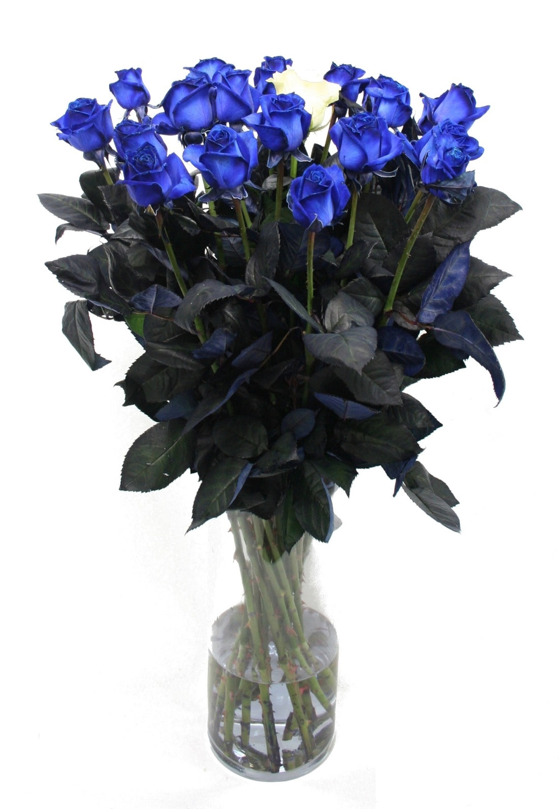 Roses bouquet of 10 long blue roses with 1 white rose