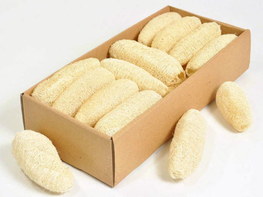 LUFFA 10-12cm gebleichter 20-Pack