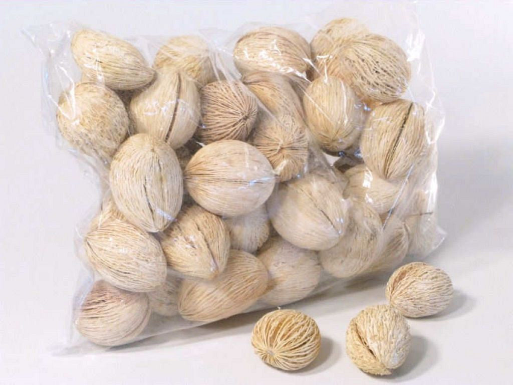 Mintolla Ivoor 6-8cm 50-Pack