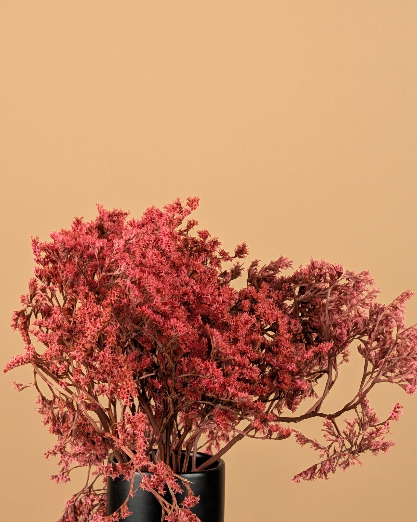 Dried Statice Tatarica Pink