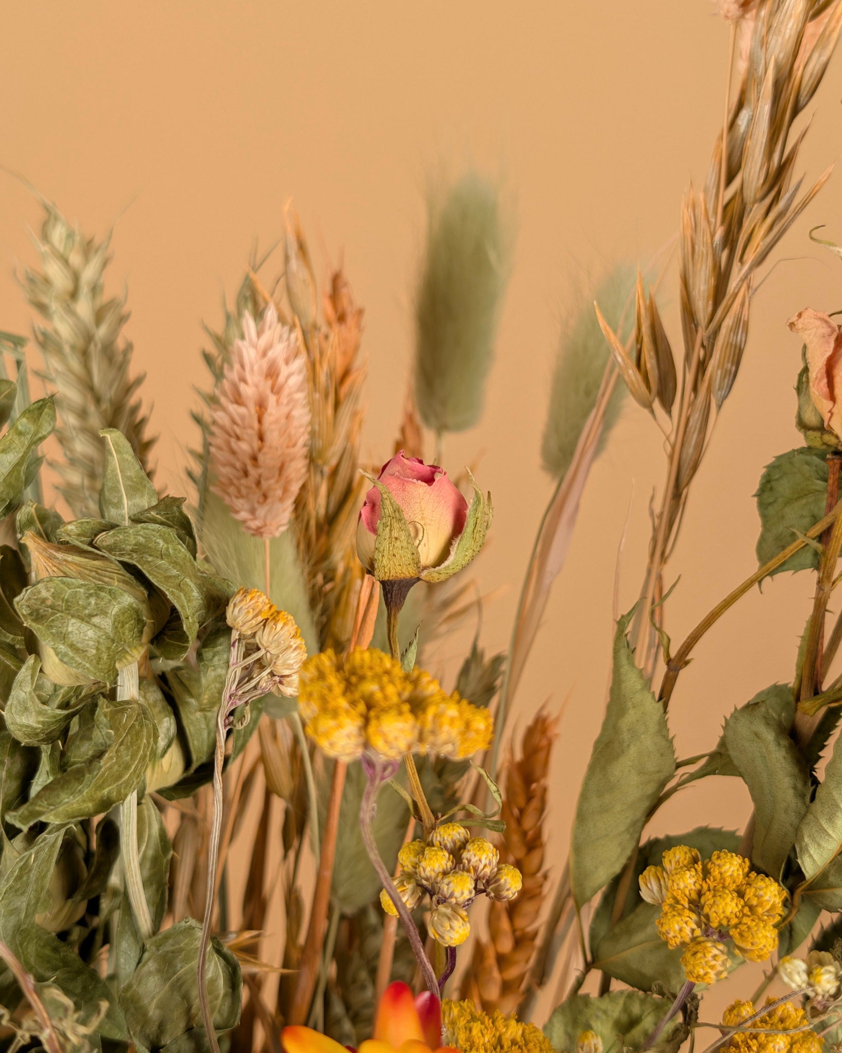 Le bouquet sec a vraiment aimé