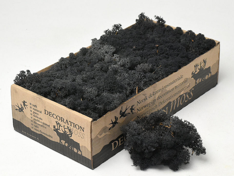 Rentier Moss Black 500gr.