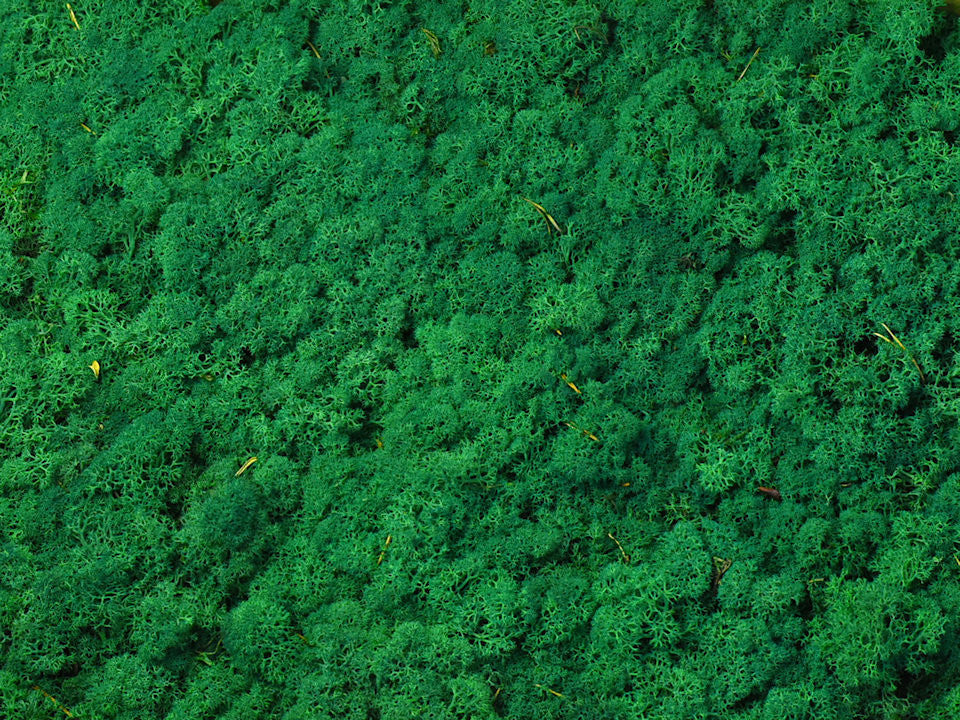 RenDiermos Grass Green par kg