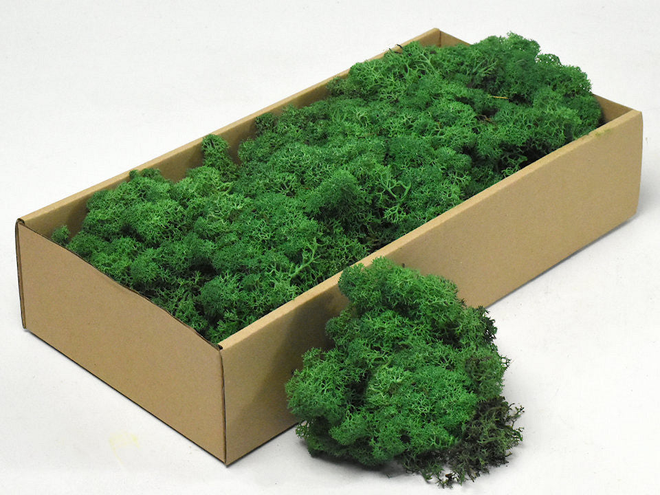 Reindeer moss grass green 500gr.