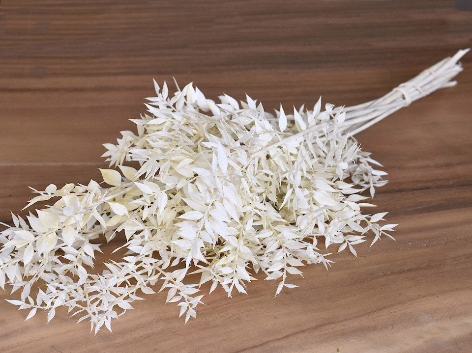 Russcus bleichte 90 cm 150gr.