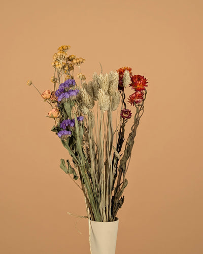 Trockener Bouquet Bunte DIY