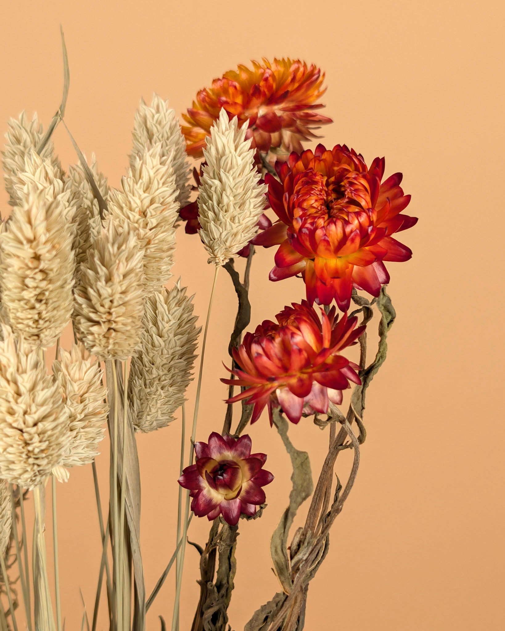 Dry bouquet colorful DIY