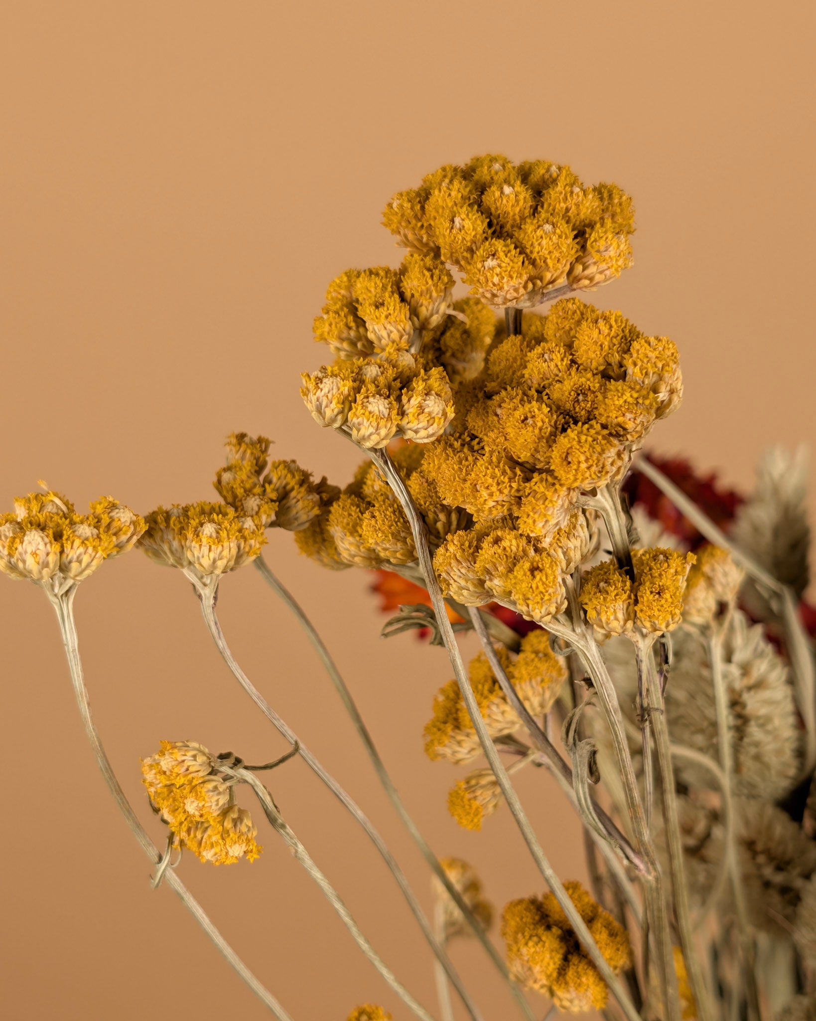 Dry bouquet colorful DIY