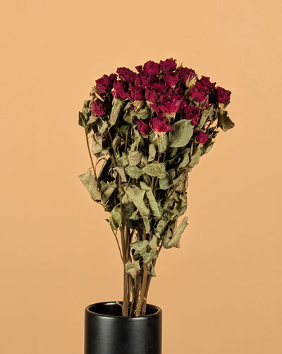 Dried dark red roses