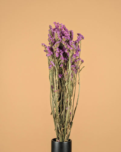 Gedroogde statice (lamsoor) – roze