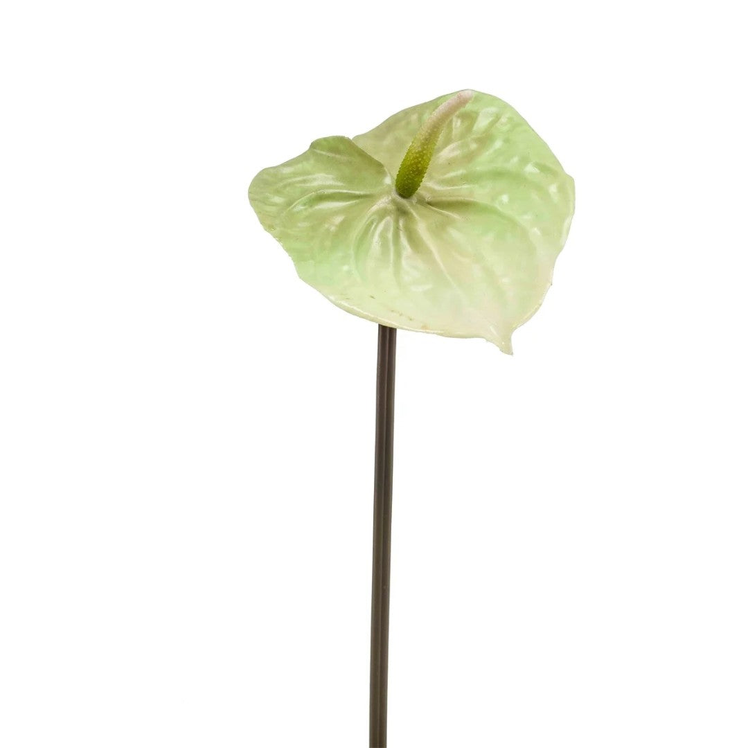 Zijde Anthurium – Lichtgroen (65 cm)