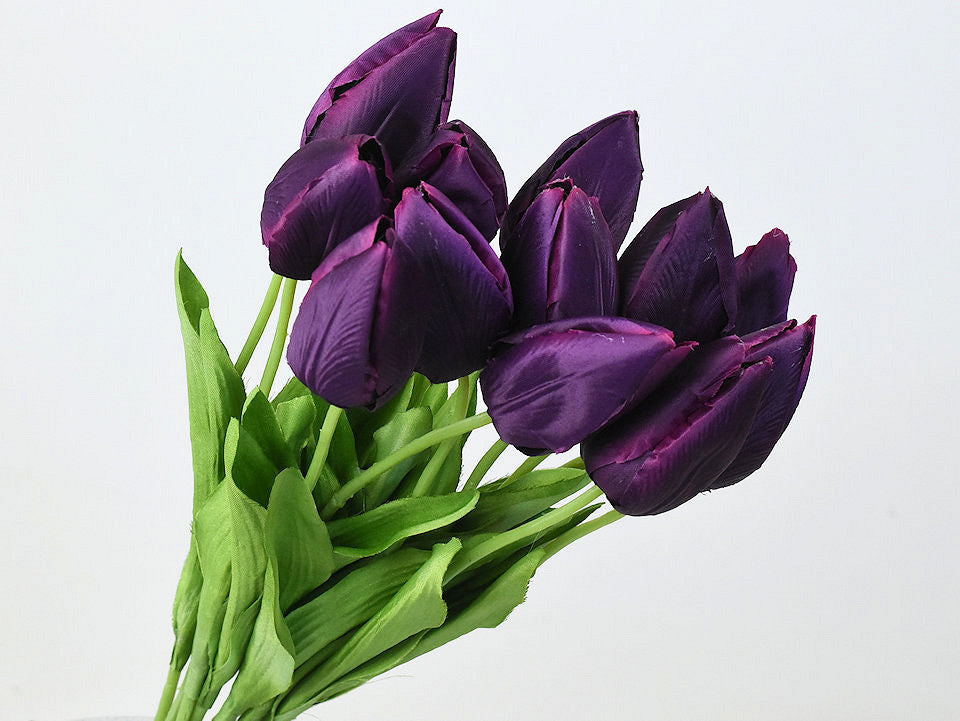 Tulp Paars 50cm