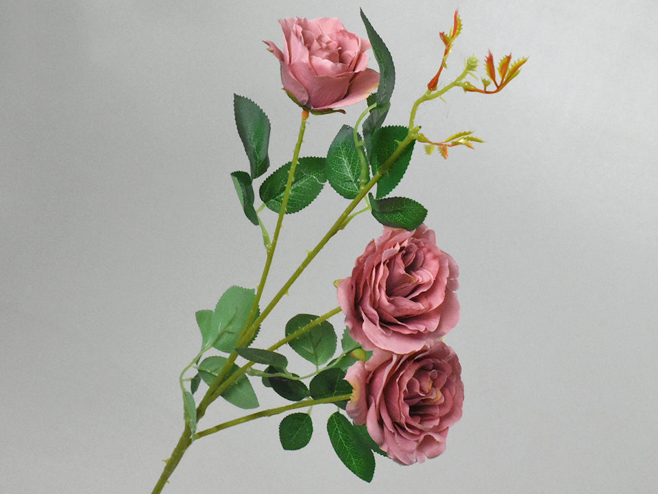 Kunst wollte Roos Mauve 80 cm